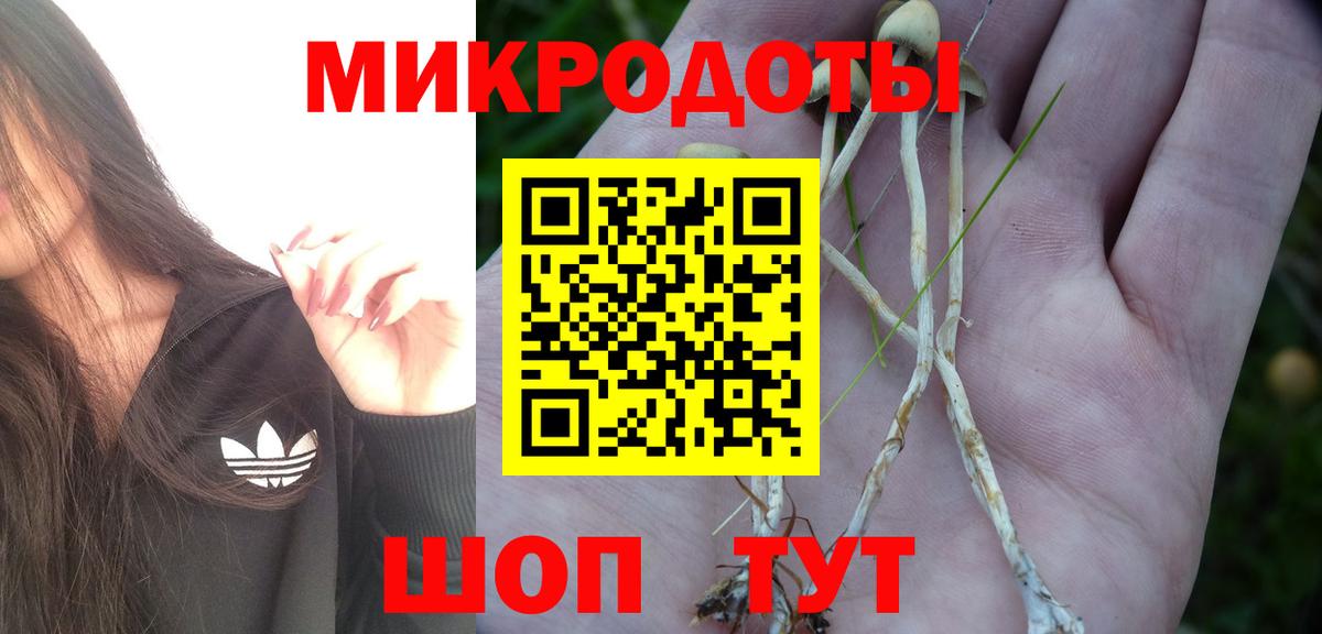 Кыштым  Галлюциногенные грибы MAGIC MUSHROOMS  Вход с VPN 